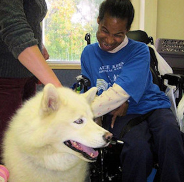Handicapped child visiting with white dog