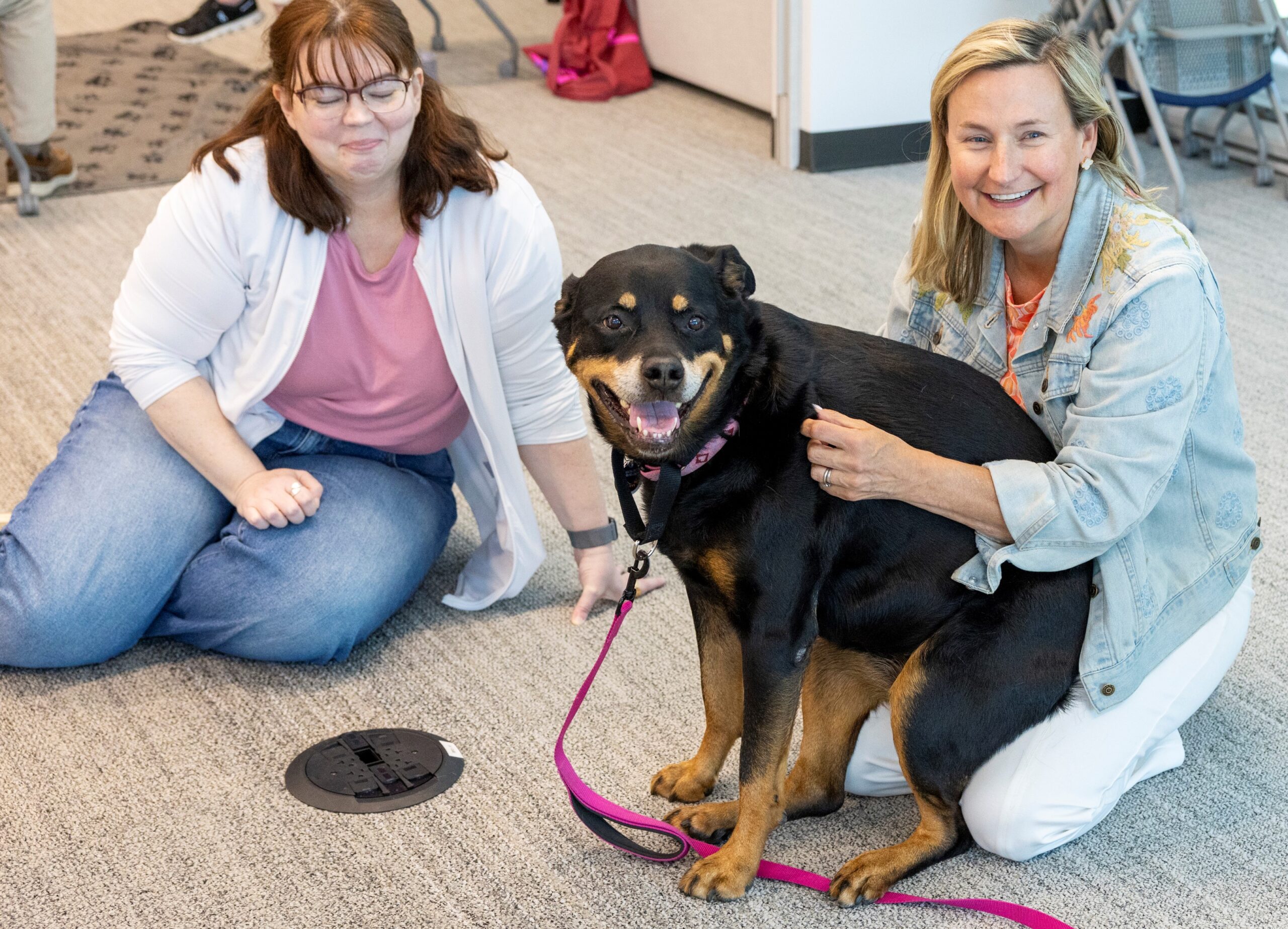 employees visiting with dog