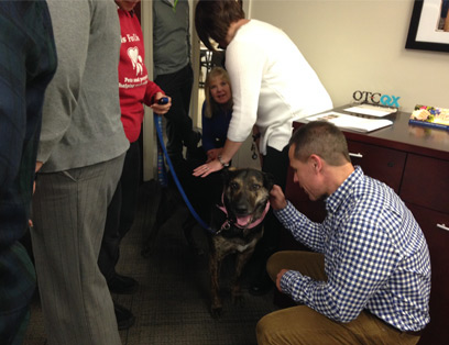 employees visiting with dog