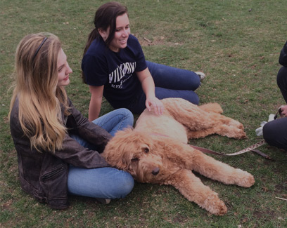 students lounging with a labradoodle