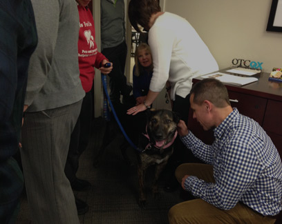 employees visiting with a dog