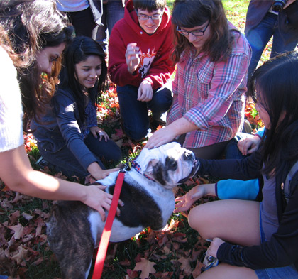students visiting with bull dog