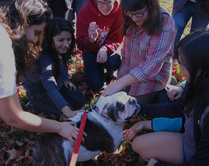students petting a bulldog
